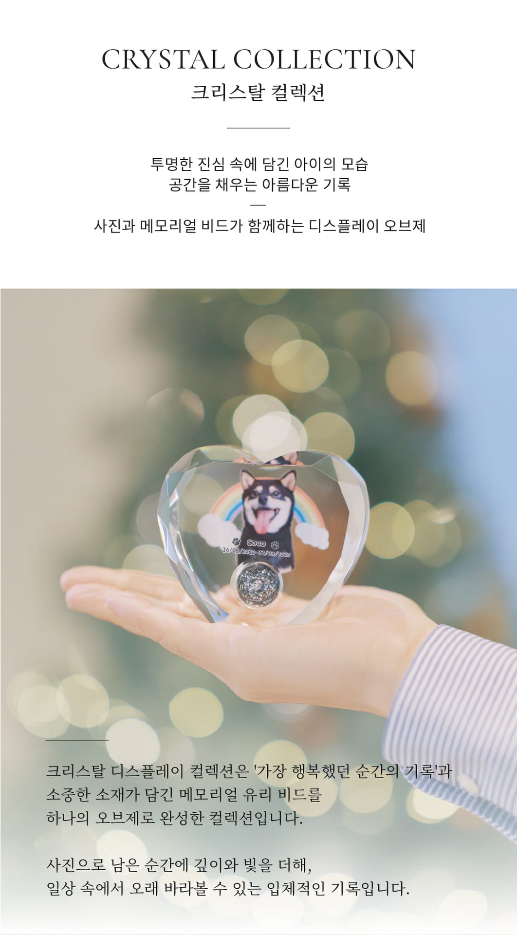 M1 상세 2